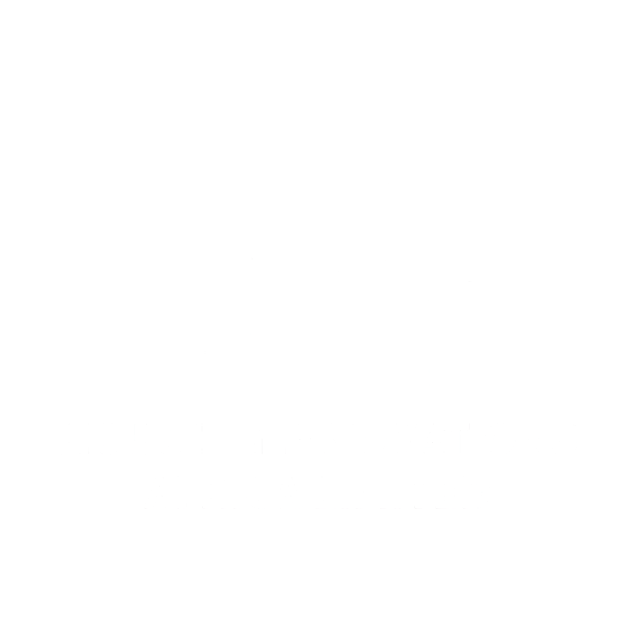 housing Innovations Africa